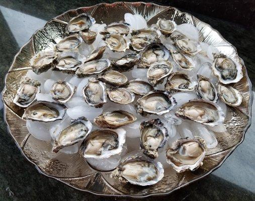 3 Dozens of Samish Pearl Oysters