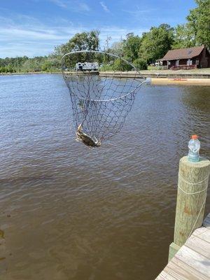 Crabbing