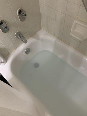 Bathtub not draining