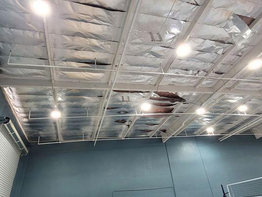 Exposed insulation that hangs down in certain places. Pipes and conduit all over the ceiling, interfering with volleyball matches.