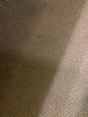 Filthy carpet