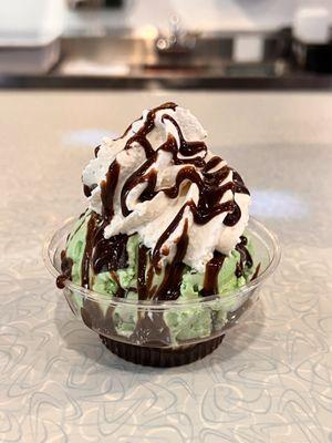 Small Mint chocolate chip sundae - needed way more hot fudge