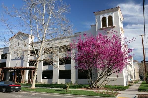 FREE Parking in the Enloe Parking Structure, located on 6th Ave. between Esplanade and Magnolia Streets in Chico, CA