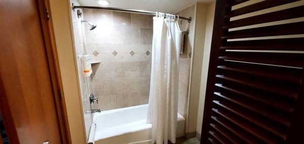 Luxury Junior Suite Shower