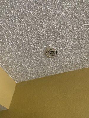 Missing smoke detector