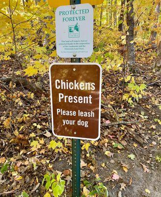 Unfortunately we did not see chickens this outing