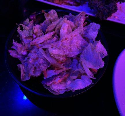 Here's the ginger Salad under the LED lighting