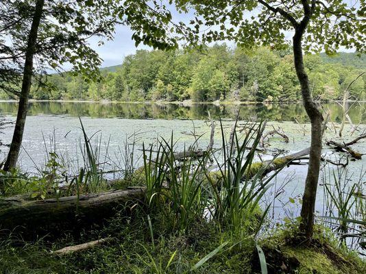 Bays Mountain Park & Planetarium