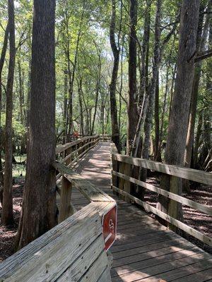 Boardwalk to the Suwannee River