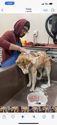 Bath time for this stray!