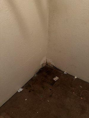 corner closet with mold