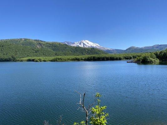 View of Mt Helen's from Coldwater Lake trail a few minutes driving from the resort