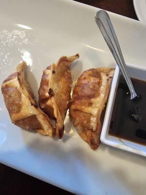 Homemade potsticker