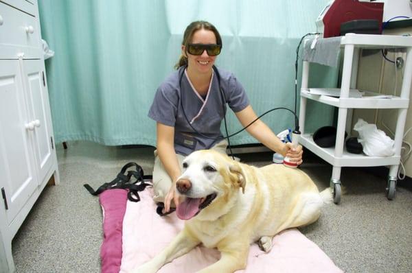 We offer laser therapy for pets.