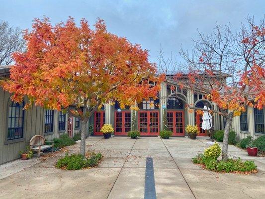 Front of Danville therapy & web design office with fall leaves