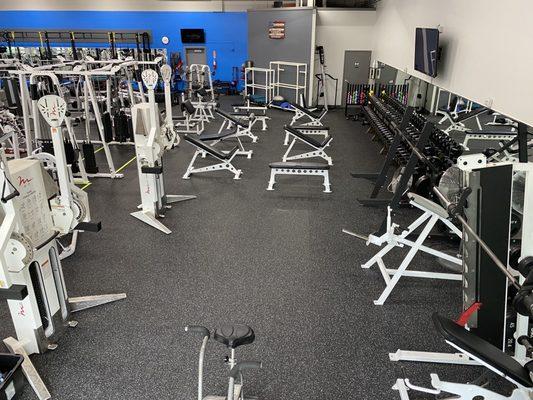 Lots of Dumbbell benches and dumbbells- Iron Grip Urethane