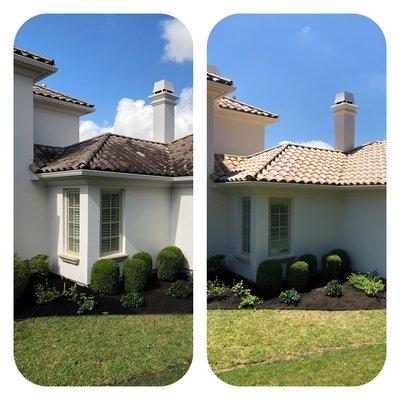 Get more life out of your roof! Remove the mold and mildew from your roof