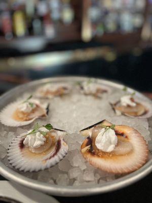 Scallops