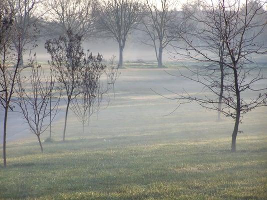 Winter morning fog