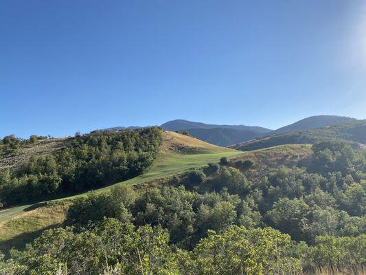 Hole number 12 is a great elevated tee box as you hit over a decent sized dip.