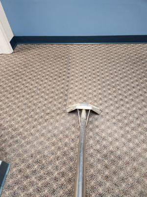 Commercial Carpet