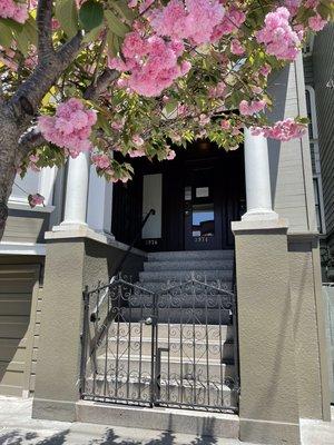 My office in Noe Valley--3976 24th street @Noe Str.