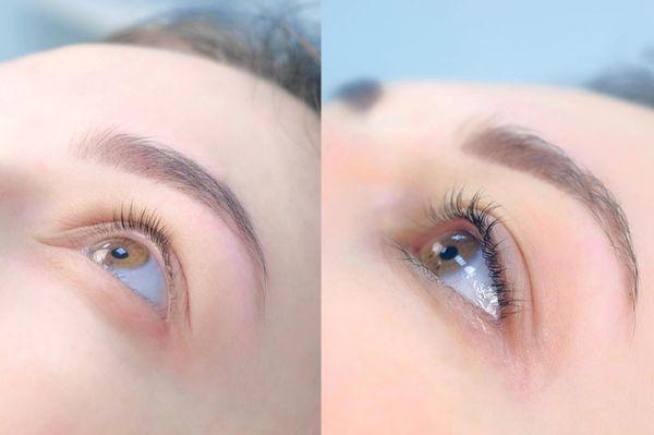 Lash Tint and Lash Lift