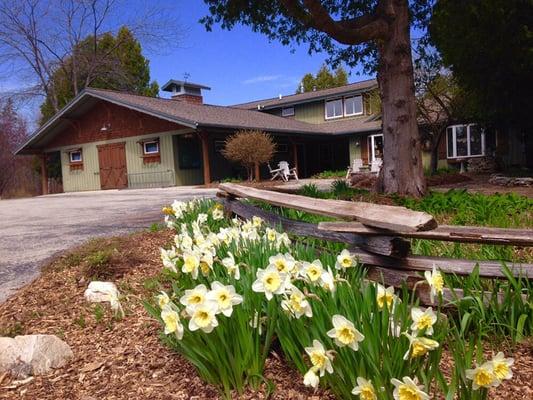 Main building & spring flowers