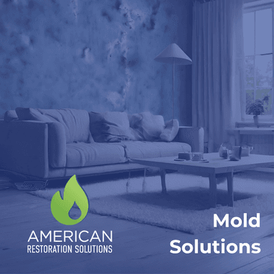 Does your property, commercial or residential have a mold problem? Call us for a complete mold removal and cleanup.