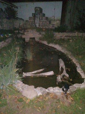 An actual runing water fountain in the rear patio( replete with patio tables, outdoor heaters).  The renovations were a great success.