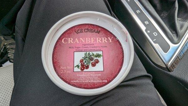 Amazing fresh cranberry ice cream!