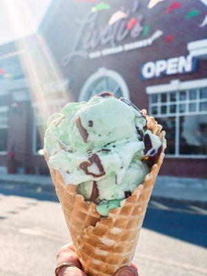 Mint Chocolate Chip Gelato