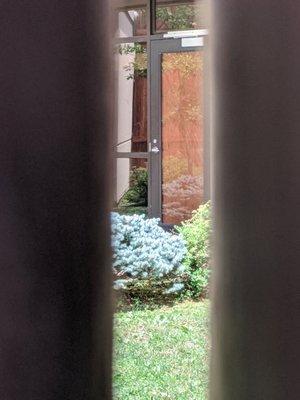 Sneak peek at the door through the yard where they'd let us out for a few min a few times a day. IF schedule not behind.