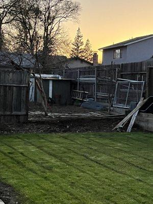 Side fence that action properties left to elderly gentleman to deal with