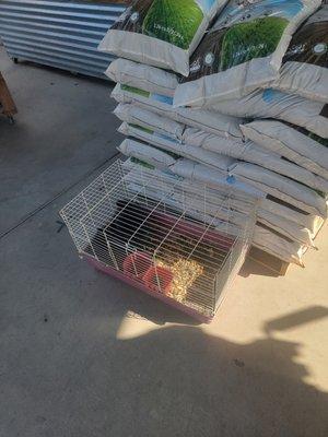 Animal cruelty towards rabbits!