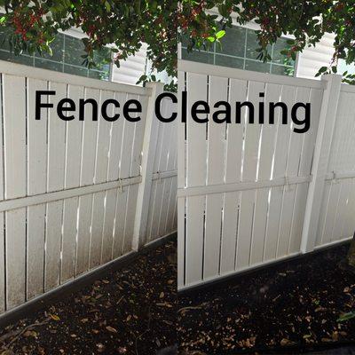 Fence cleaning in Eugene Oregon.