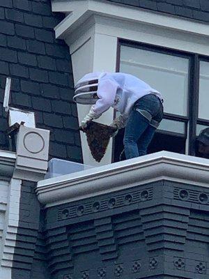 Erin removing the hive from the hollow decorative piece on 2nd floor