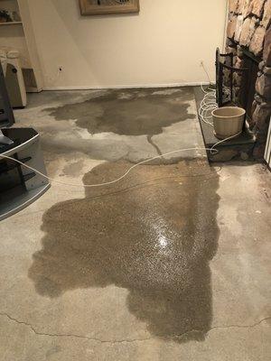 One of many flooding instances into home which ruined flooring and sheetrock due to rotted siding in which the condo is responsible.