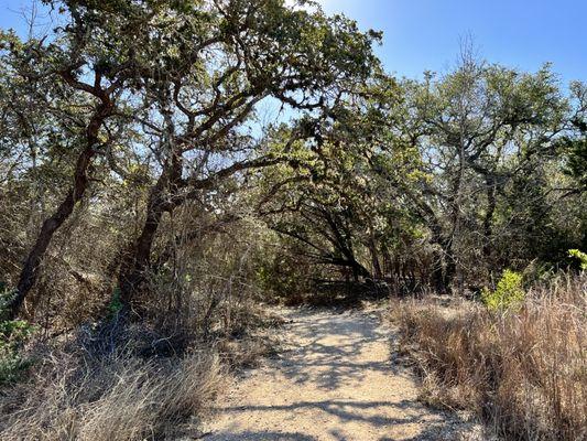 Hill Country State Natural Area