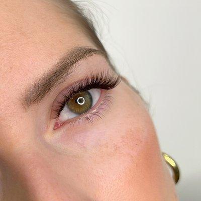 Light Volume Brown lashes