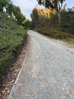 Gravel pathway