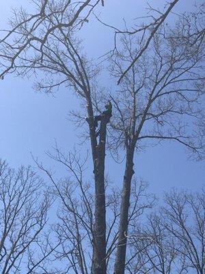 Climbing but have bucket truck