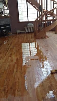 Sand-Sational Hardwood Floors