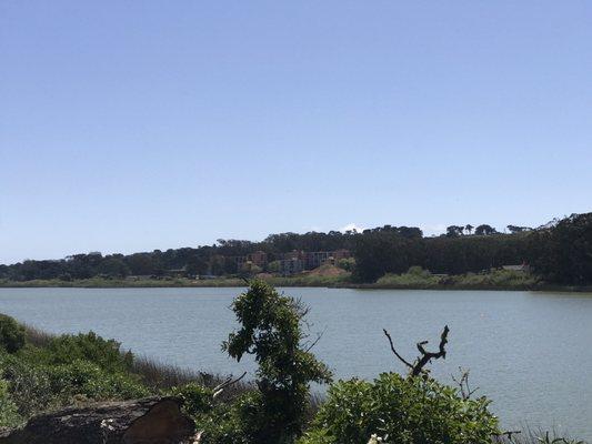 Sunny & clear day at Lake Merced