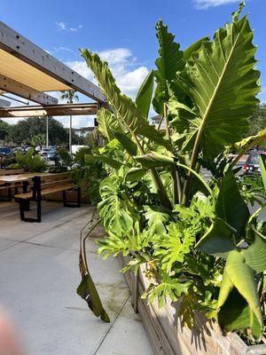 Outside foliage with plenty of seating