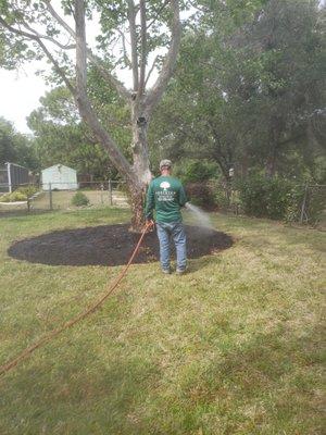 Watering in New Soil and Amendments after Turf excavation.