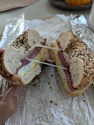 Pastrami and and cheese (Swiss) on an everything bagel