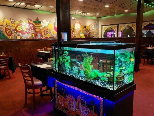 I loved the relaxing fish tank