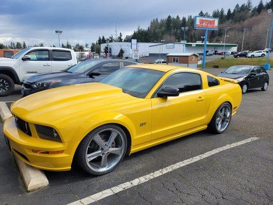 First day of spring and Yellow is the color