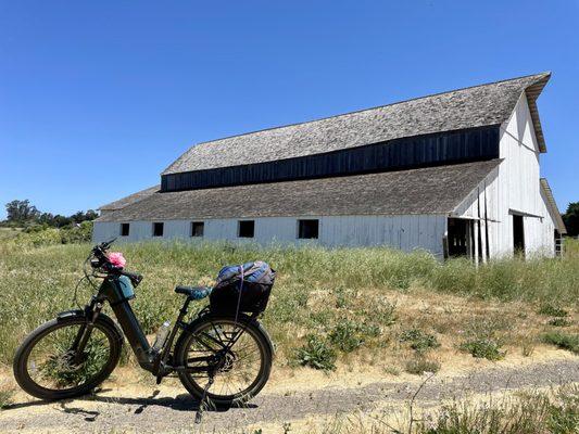 Petaluma Motor Wheel E-Bike Store